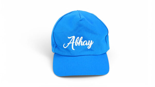 Cap ( Blue ) - Image 4